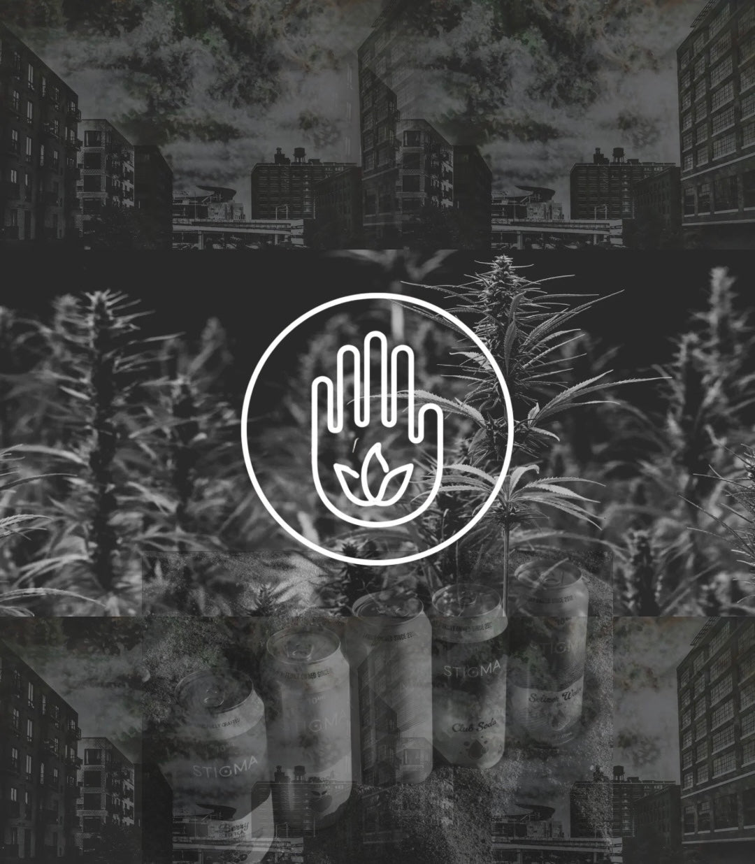 Why Regulating Hemp Matters: Stability, Safety, and the Future