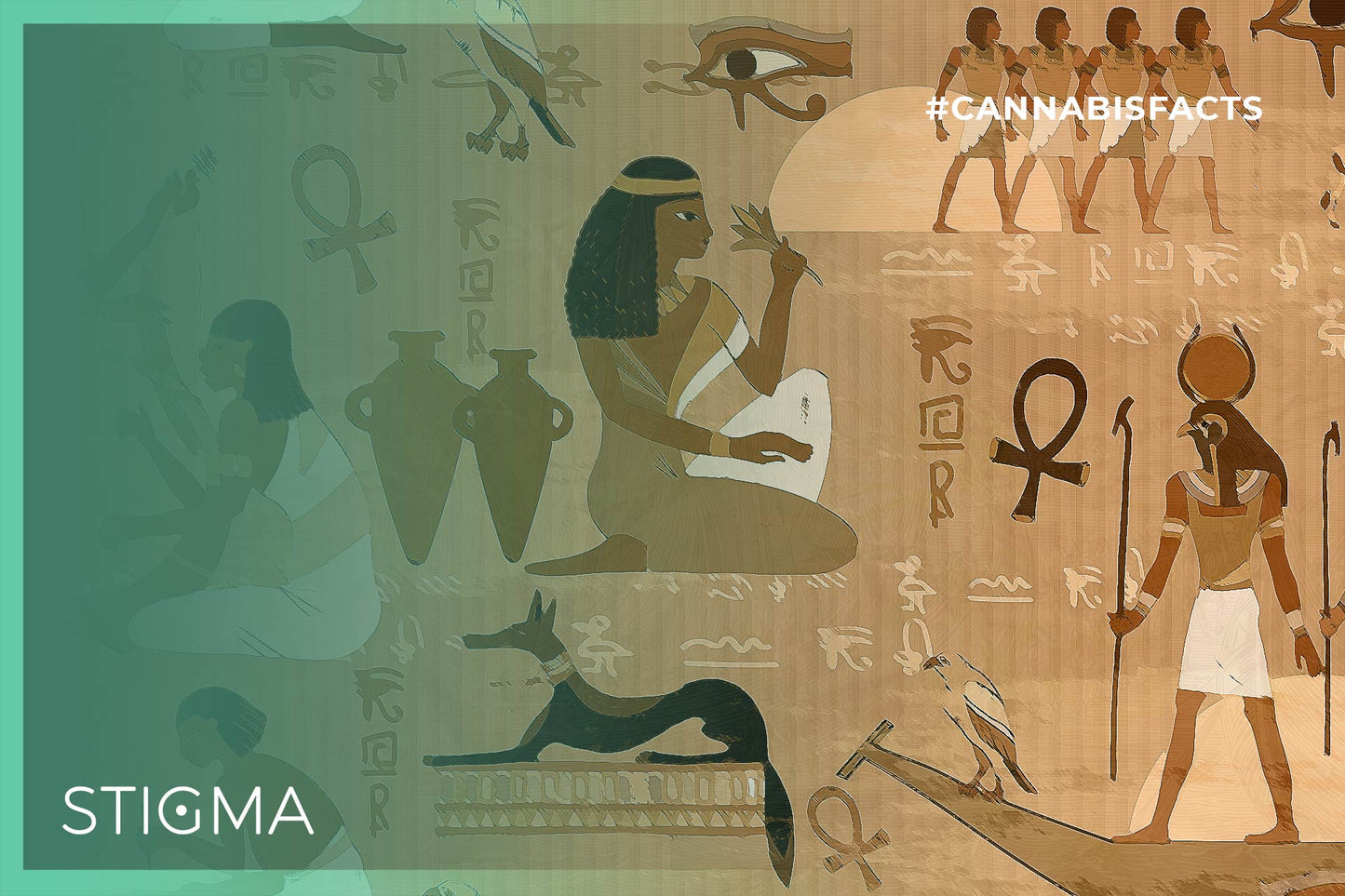 Did you know that the ancient Egyptians were known to use medicinal preparations of cannabis?