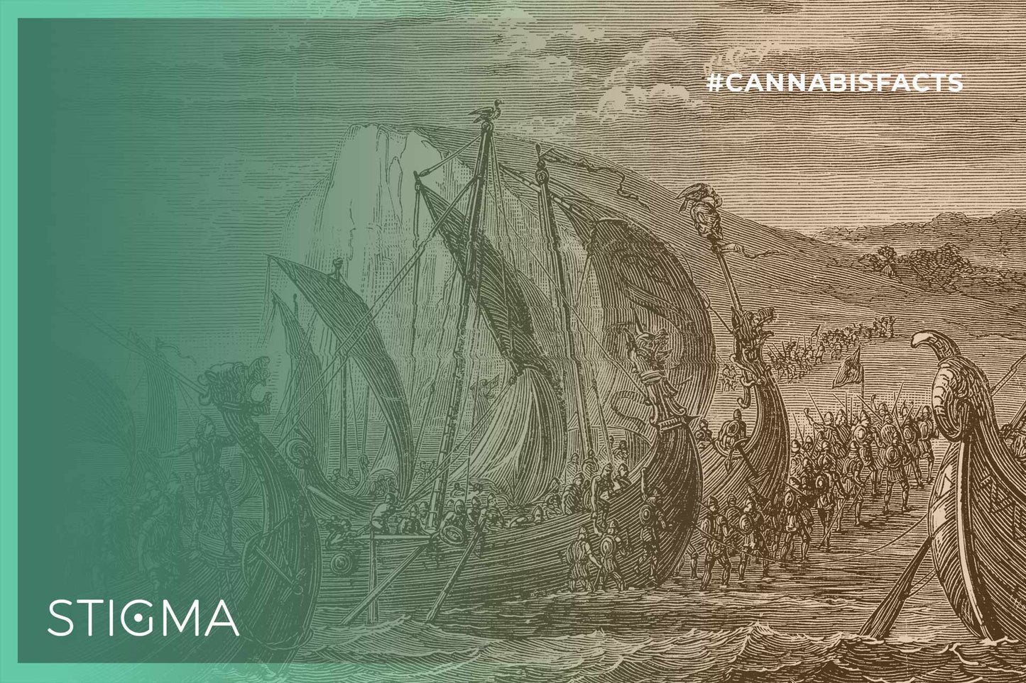 Did you know that the Vikings cultivated hemp over a thousand years ago?